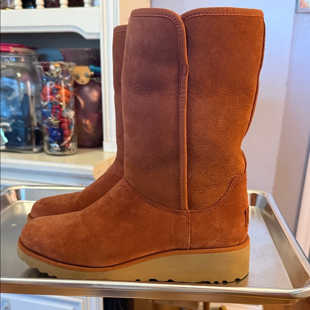 UGG Women's Chestnut Suede Winter Boots